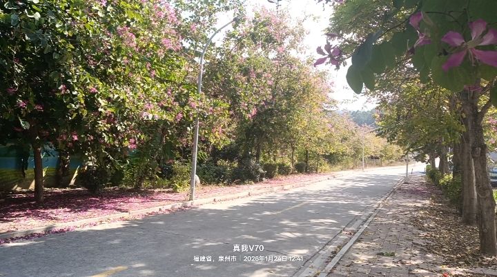 多日阴,今出阳 多日阴,今出阳